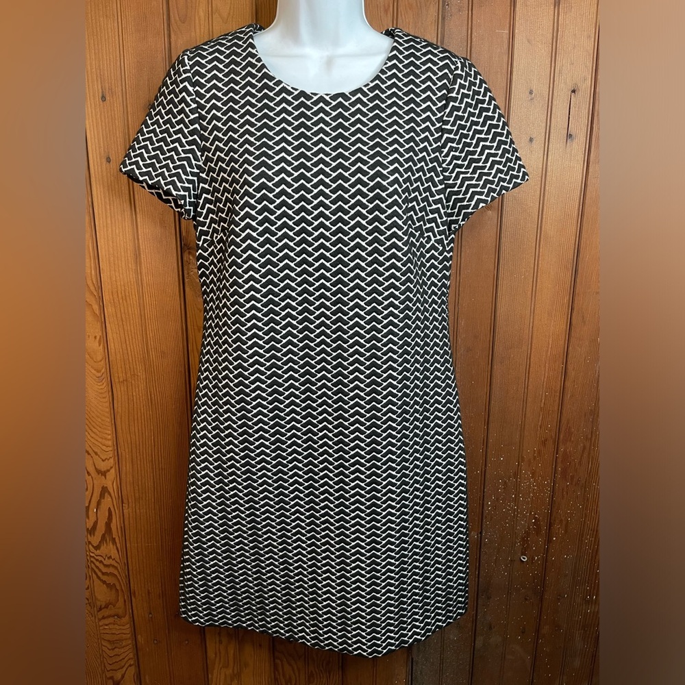 ⭐️Calvin Klein Short Sleeve, Zip Back, Black and White Dress